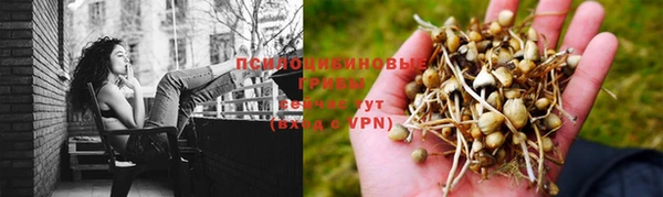 винт Абаза